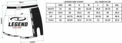 Legend Sports Kickboks Broekje Kids/Volwassenen Golden Star Satijn XL -Sportkleding-Dames Winkel 550x196