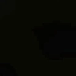 FALKE TK2 Explore Cool Short Wandelsokken Kort Zacht Thermisch Anti-blaar Antizweet Zonder Motief Met Elastische Boord Verkoelend Ademend Sneldrogend Zwart Dames Sportsokken - Maat 35-36 38 FALKE TK2 Explore Cool Short Wandelsokken Kort Zacht Thermisch Anti-blaar Antizweet Zonder Motief Met Elastische Boord Verkoelend Ademend Sneldrogend Zwart Dames Sportsokken - Maat 35-36 -Sportkleding-Dames Winkel 550x406