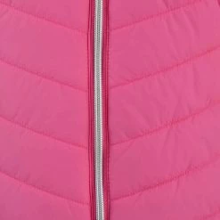 BJØRNSON Siri Bodywarmer Dames - Winddicht - Waterafstotend - Maat 52 - Roze 15 BJØRNSON Siri Bodywarmer Dames - Winddicht - Waterafstotend - Maat 52 - Roze -Sportkleding-Dames Winkel 550x732 28